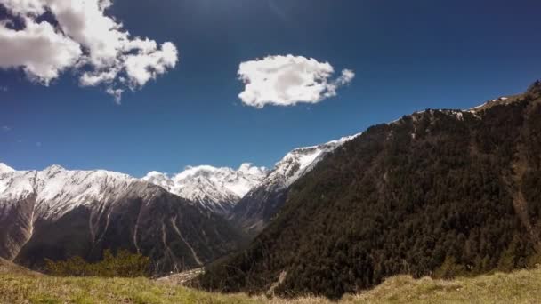 Spring Valley met alpenweiden in de Kaukasus, timelapse — Stockvideo