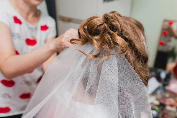 Hairdresser fix the veil on the bride's hairstyle — Stock Photo, Image