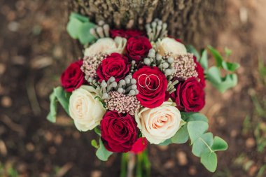 İki alyans yosun kaplı ağaç gövdesi üzerinde gelin çiçekleri ile yakın çekim