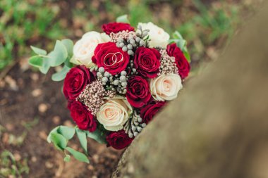 İki alyans yosun kaplı ağaç gövdesi üzerinde gelin çiçekleri ile yakın çekim