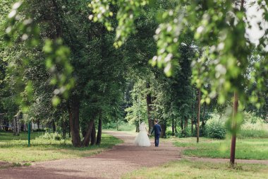 Arkadan görünüş-eller kaç aşk, gelin ve damat içinde açık alanda yürüyüş tutma.