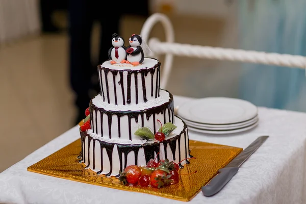 巧克力婚礼蛋糕上面是顶部的企鹅雕像， — 图库照片