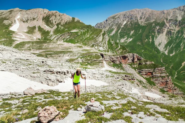 Természetjáró lány hátizsák és túrázás lengyelek a magas hegyek — Stock Fotó