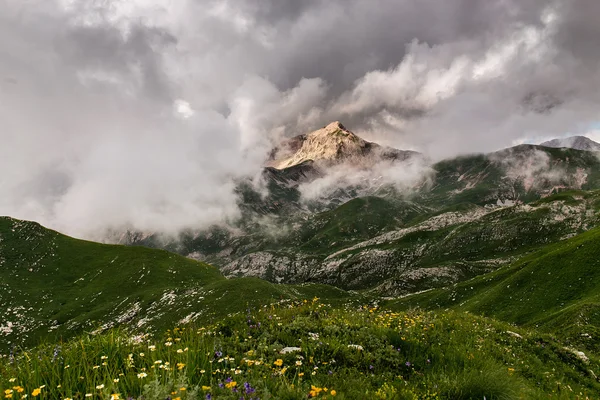 Arabika Peak, Republic of Abkhazia, West Caucasus — Stock Photo, Image