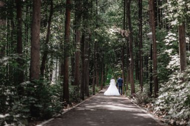 mutlu gelin ve damat yaz ormanda yürüyüş