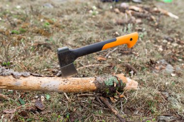 Balta kesme günlük doğa arka plan üzerinde ormandaki