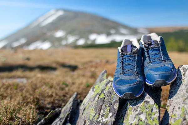 Wandelen of hardlopen schoenen in voorjaar bergen, avontuur en exer — Stockfoto
