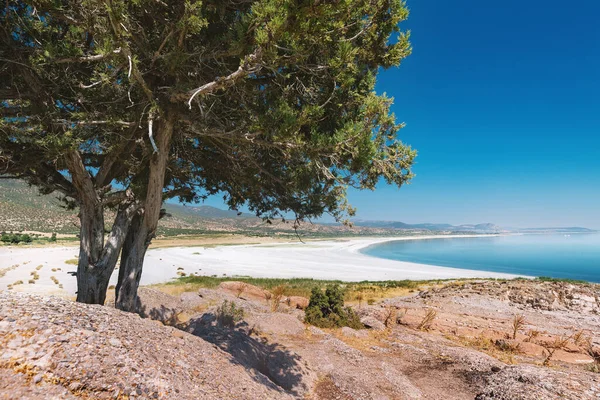 Paisaje Con Árbol Pintoresco Solitario Atracción Turística Popular Lago Salda — Foto de Stock