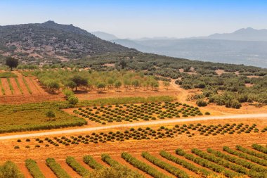 Çiftlik sahiplerinin evlerinden lavanta tarlalarının ve diğer tarım ürünlerinin hava manzarası. Kırsal ve manzaralı doğa görünümü kavramı