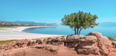 Salda Gölü ya da Türk Maldivleri gibi tek başına resimli bir ağaç ve popüler bir turizm merkezi olan panoramik manzara. Beyaz sahilde kalsiyum karbonat birikmiş.