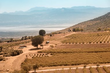Çiftlik sahiplerinin evlerinden lavanta tarlaları ve diğer tarım ürünleri. Kırsal ve kaynak kavramı