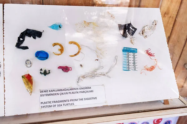 September 2020 Dalyan Türkei Fragmente Von Plastikmüll Verdauungssystem Von Karettschildkröten — Stockfoto