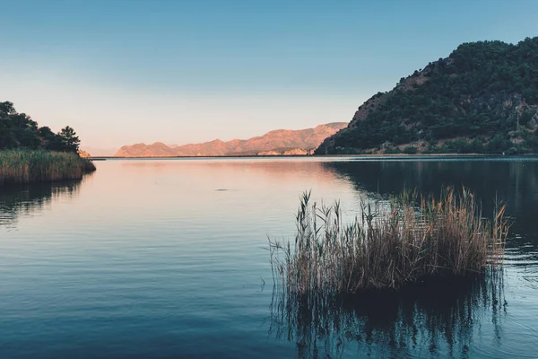 Муді Спокійна Картина Озера Сулунгур Дельти Річки Далей Туреччині Світанку — стокове фото