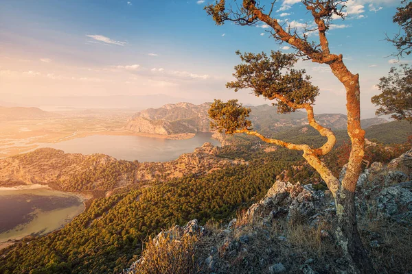 Vista Aérea Lago Sulungur Delta Del Río Dalyan Turquía Atardecer — Foto de Stock