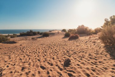 Türkiye 'de turistler ve tatilciler, Antalya' daki Patara 'nın kum tepelerini ziyaret ediyor. Doğanın harikaları