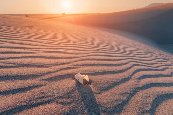 Een Weggegooid Plastic Beker Ligt Een Zandduin Woestijn Het Concept — Stockfoto