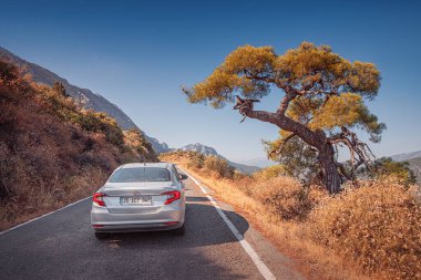 12 Eylül 2020, Termessos, Türkiye: Türkiye 'deki Termessos Milli Parkı' nda güzel, dar asfalt bir yoldan geçen araba. Sedir ve çam ağaçlarında sonbaharın güzel kırmızı renkleri