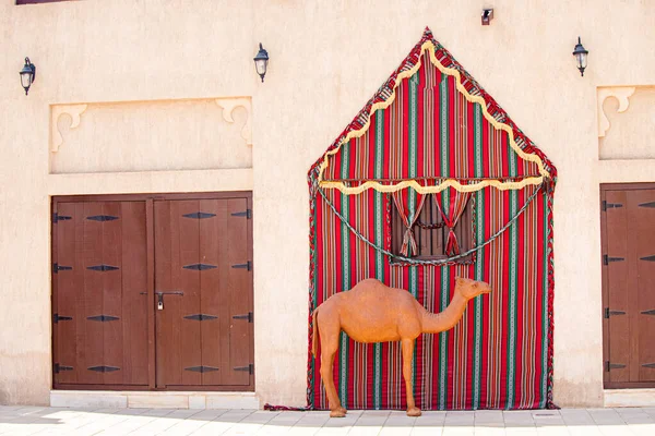 2021 아랍에미리트 두바이 지역의 텐트의 배경에 낙타의 — 스톡 사진