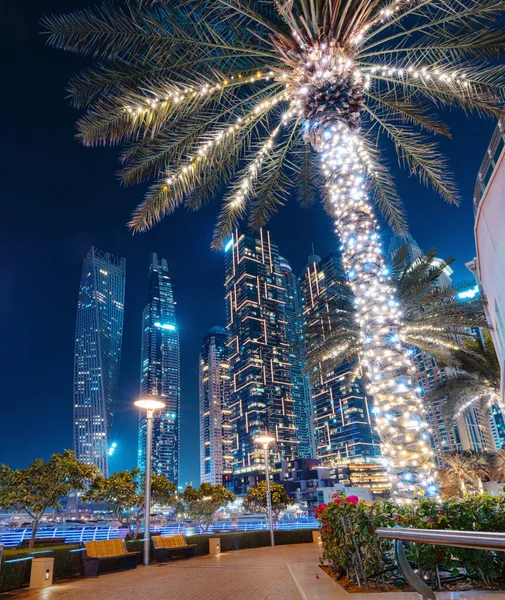 Pálmafa Díszített Számos Fények Éjjel Dubai Marina Töltés Lenyűgöző Felhőkarcolók — Stock Fotó