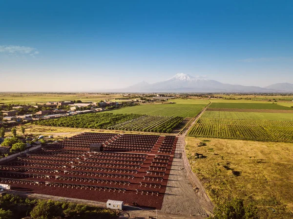 Вид Воздуха Сельское Хозяйство Солнечные Батареи Фоне Удивительной Горы Арарат — стоковое фото