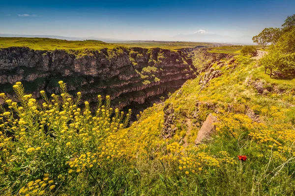 亚美尼亚Aragatsotn省哈萨克河岩石上雕刻的风景如画的峡谷和峡谷全景 — 图库照片