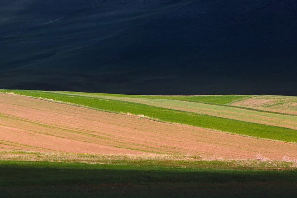 Campo Agrícola Arado Con Hierba Fresca Primavera Una Estrecha Franja —  Fotos de Stock