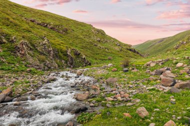 Dağları ve deresi olan İdyllic Ermeni manzarası. Aragats Dağı 'nın yamacında.