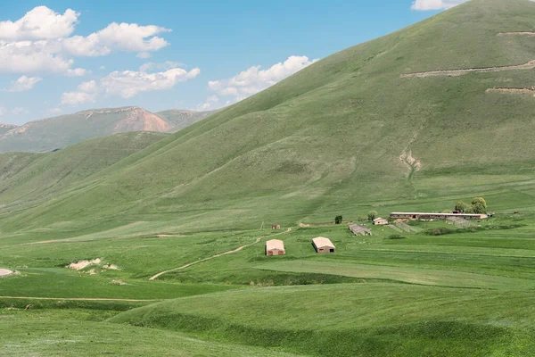 Egy Marha Farm Hangárokkal Állatoknak Felszereléssel Hegyekben Buja Mezők Vannak — Stock Fotó