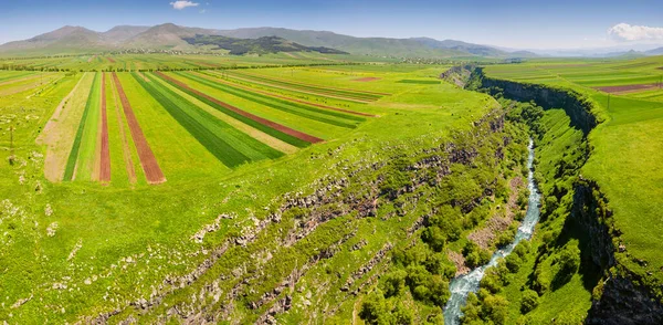 Vista Aérea Panorámica Los Campos Agrícolas Sembrados Con Cultivos Ríos — Foto de Stock