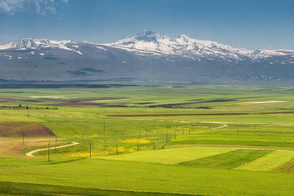 Kilátás Ősi Kihalt Aragats Vulkán Termékeny Völgy Lábánál Mezőgazdasági Földek — Stock Fotó