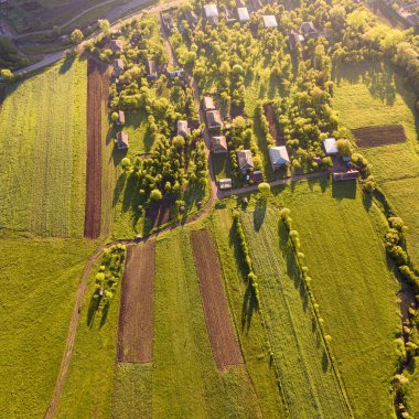 Panoramik hava manzaralı yeşil tarlalar ve yükselen güneşle aydınlatılan birkaç köy evi.