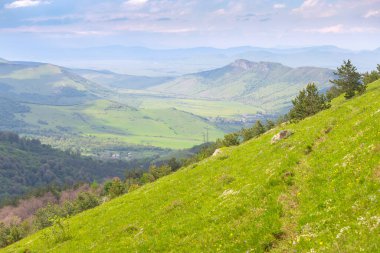 Kırsal kesimde çimenli bir yamaç boyunca çok az fark edilen bir patika var.