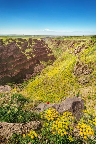 Панорама Мальовничого Каньйону Ущелини Вирізані Скелі Річці Казахстан Арагатсотн Вірменія — стокове фото