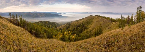 Hösten i dimmiga dalen spänna — Stockfoto