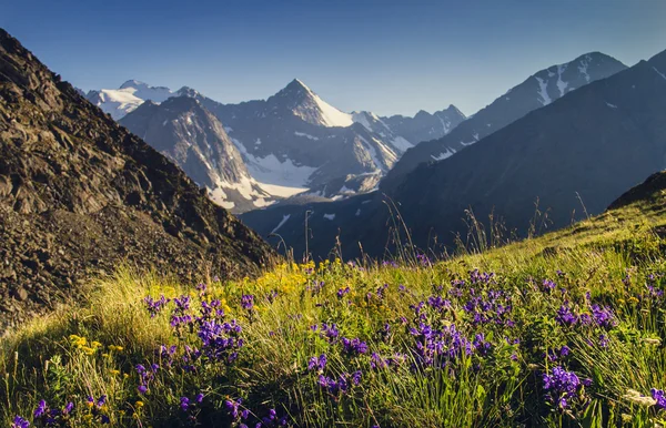 Mountain peaks and alpine meadow — Stock Photo, Image