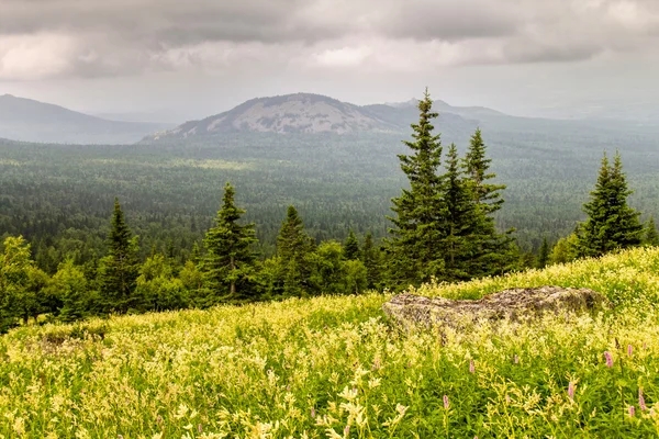 Grön äng och skog kullar — Stockfoto