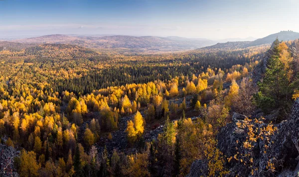 Őszi erdő — Stock Fotó