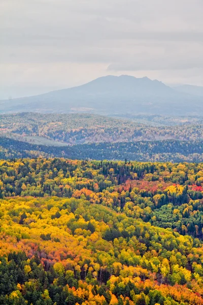 山と秋の森 — ストック写真