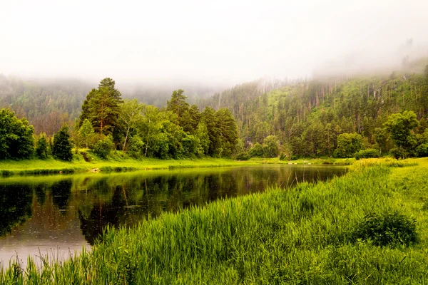 Älvdalen — Stockfoto