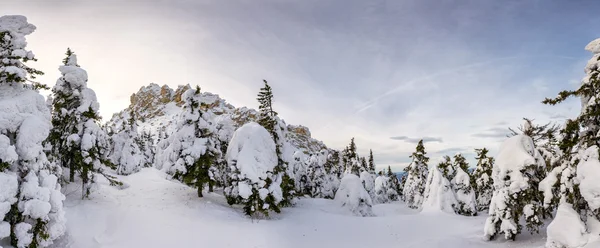 Vinter skog med cliff — Stockfoto