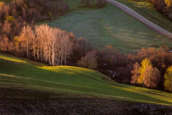 Collina verde nella valle — Foto Stock