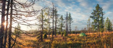 bir orman içinde çadır