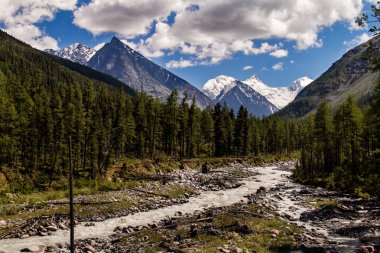 White river dağlarda