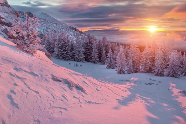 Vinterlandskap i fjell ved soloppgang – stockfoto