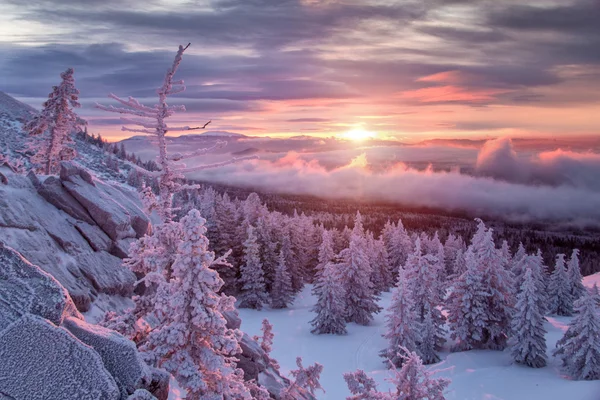 Paisaje invernal en las montañas al amanecer — Foto de Stock