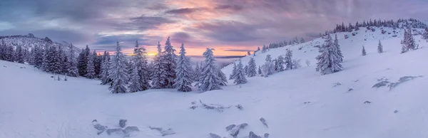 Winter panorama landscape  at sunrise — Stock Photo, Image