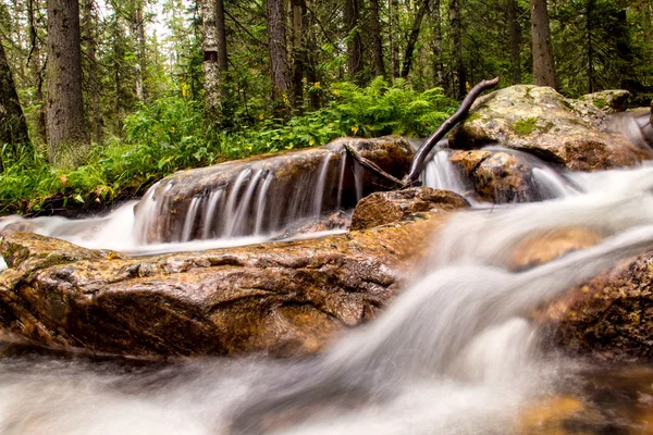 Spring water of a mountain creek — Stock Photo, Image
