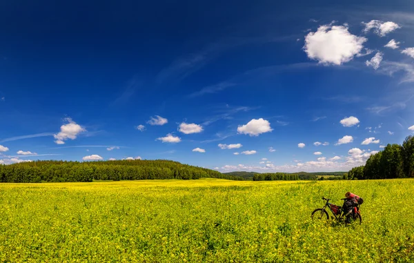 Blommande äng och cykel — Stockfoto