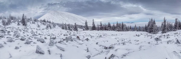 Insnöade vinterlandskap med bergstopp — Stockfoto