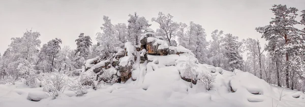 Insnöade vinterlandskap med bergstopp — Stockfoto